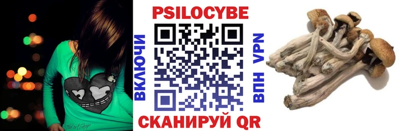 наркота  Великий Новгород  Галлюциногенные грибы Cubensis 